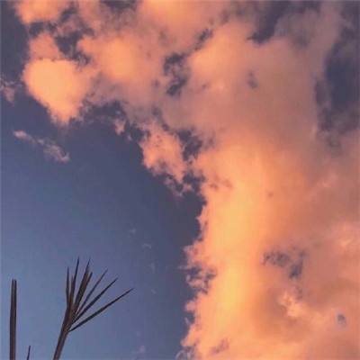 南柯子·池水凝新碧