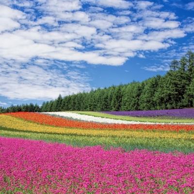 新国标将让市场近半空调退市