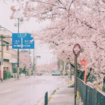 台风又来！“普拉桑”携强风雨袭华东 较强冷空气影响我国中东部