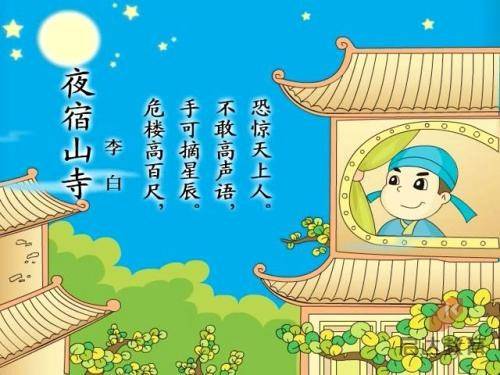 体彩大乐透11月份数据盘点